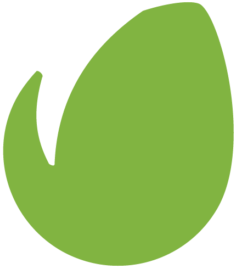 Envato
